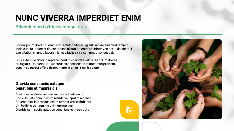 Presentation-slide
