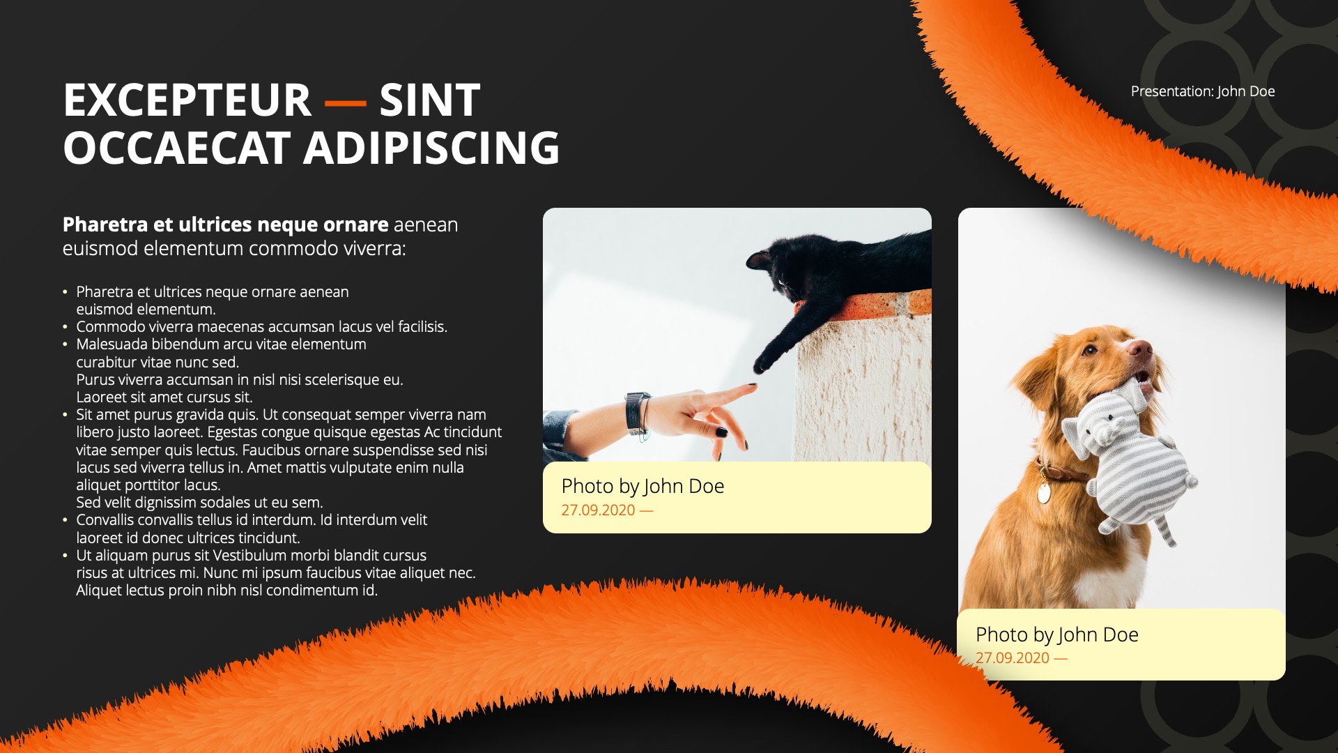 Presentation-slide