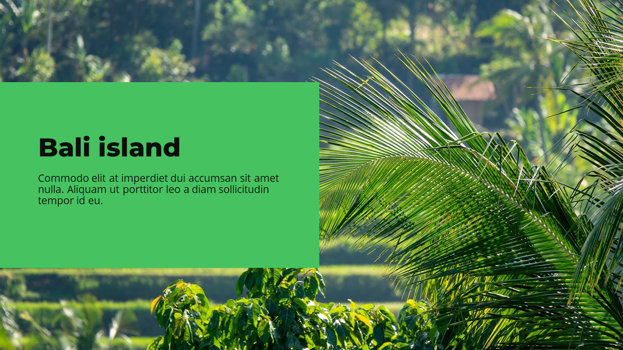 Presentation-slide