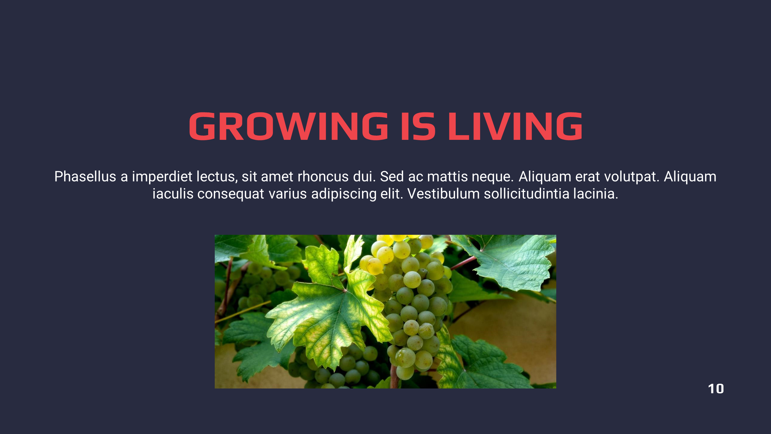 Presentation-slide