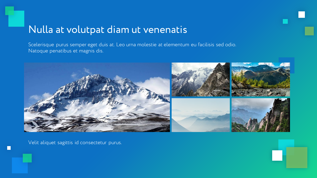 Presentation-slide
