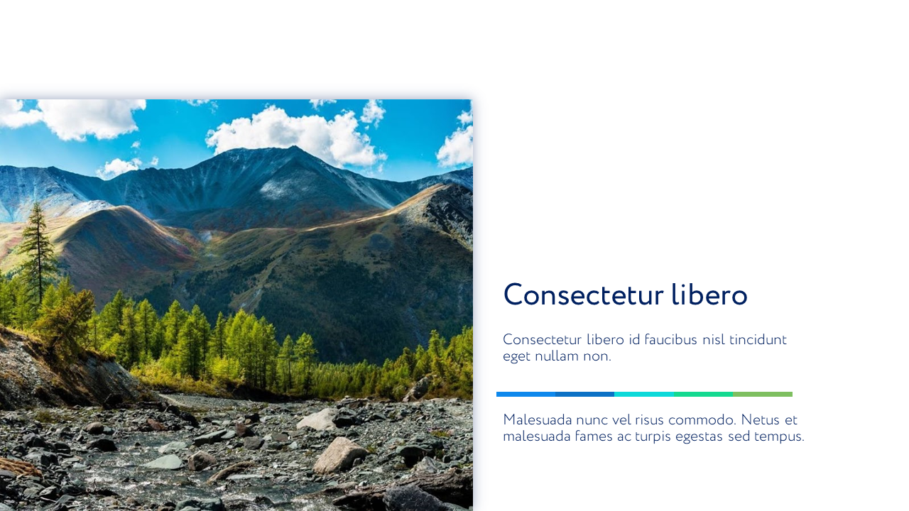 Presentation-slide