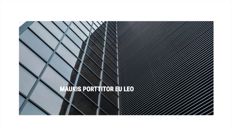 Presentation-slide