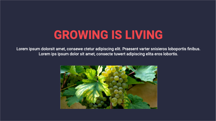 Presentation-slide